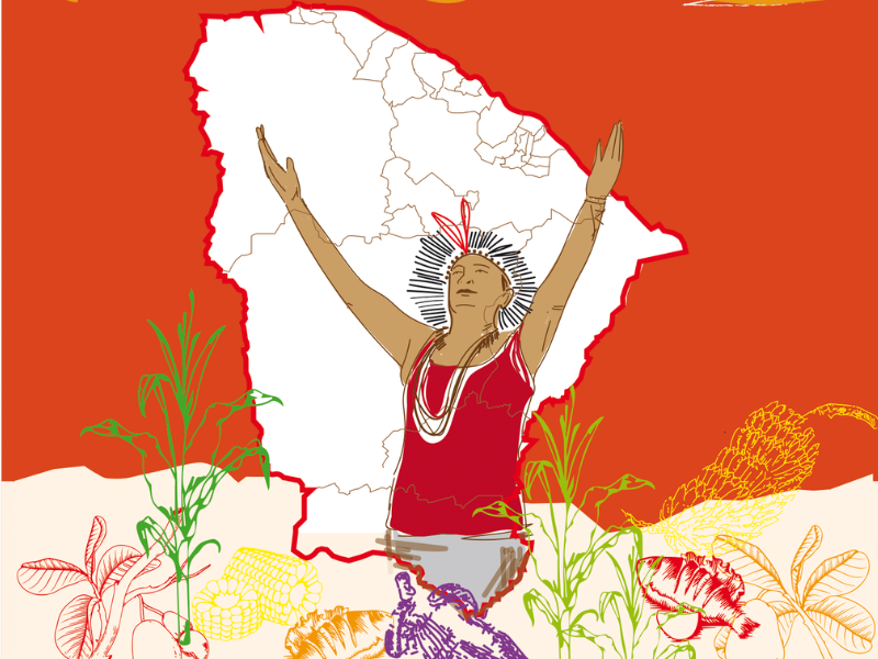 Ceará Terra Indígena: Um Olhar das Mulheres