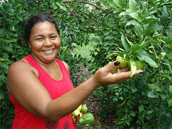 Foto: Com assistência técnica agroecológica, famílias cultivam alimentos em quintais produtivos (Acervo Esplar)