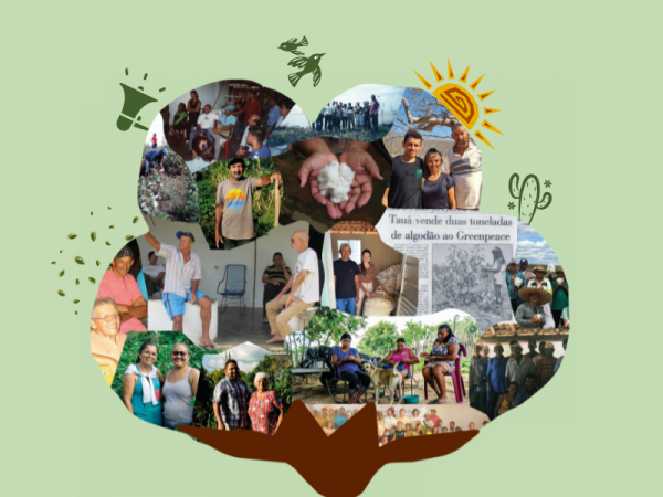 Document&aacute;rio cearense dialoga sobre tr&ecirc;s d&eacute;cadas de algod&atilde;o, agroecologia e transforma&ccedil;&atilde;o nos sert&otilde;es do Cear&aacute;