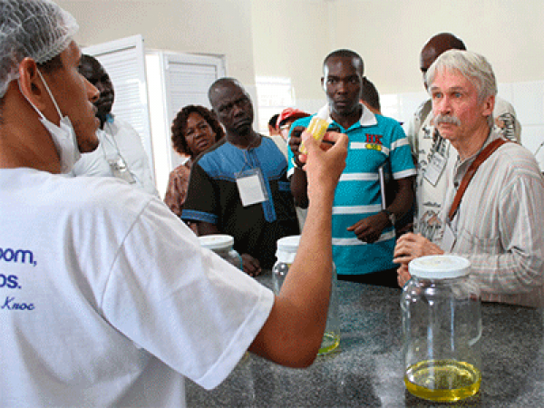 Africanos buscam inspiração na experiência brasileira de convivência com o Semiárido