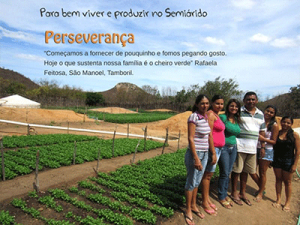 Grupos de agricultoras visitam experiências em quintais produtivos e economia solidária