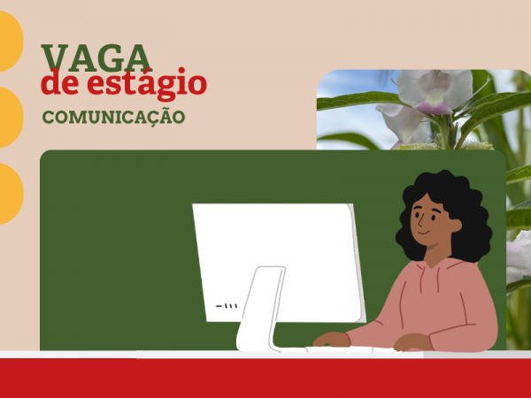 Inscreva-se: Esplar abre processo seletivo para estágio em comunicação