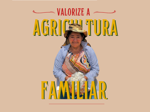 Cinco caminhos para fortalecer a agricultura familiar no Semiárido Cearense
