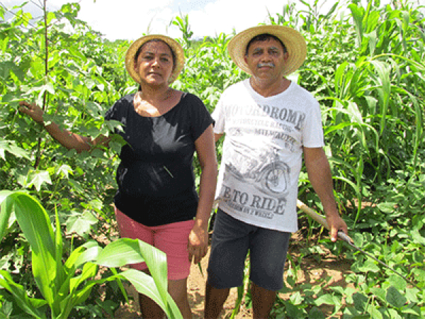 Consórcios agroecológicos completam 15 anos em Choró