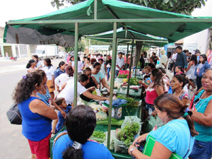 Feira feminista, manifestação e debates marcam o 08 de março em Monsenhor Tabosa