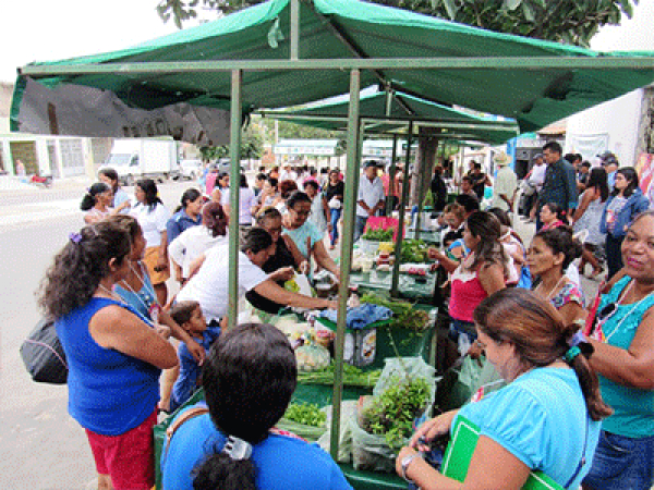 Feira feminista, manifestação e debates marcam o 08 de março em Monsenhor Tabosa