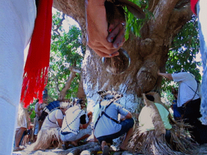 Movimento indígena do Ceará reafirma escolha de caciques Pitaguary e convoca união dos povos